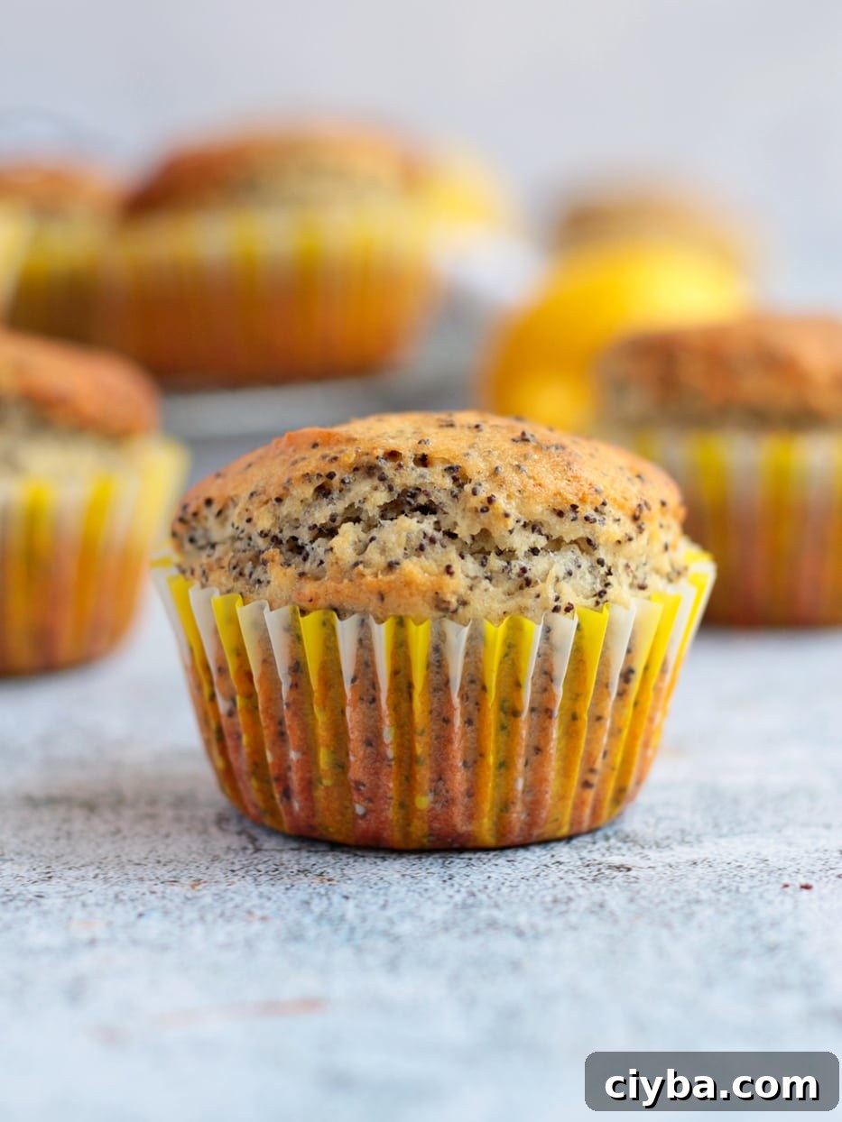 Close up on one Lemon Muffin.