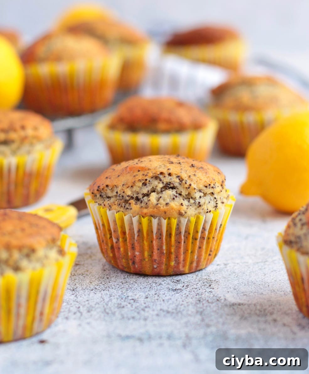 Lemon and Poppy Seed Muffins on a grey surface.