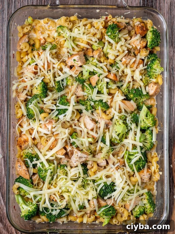 cheddar cheese sprinkled on top of casserole