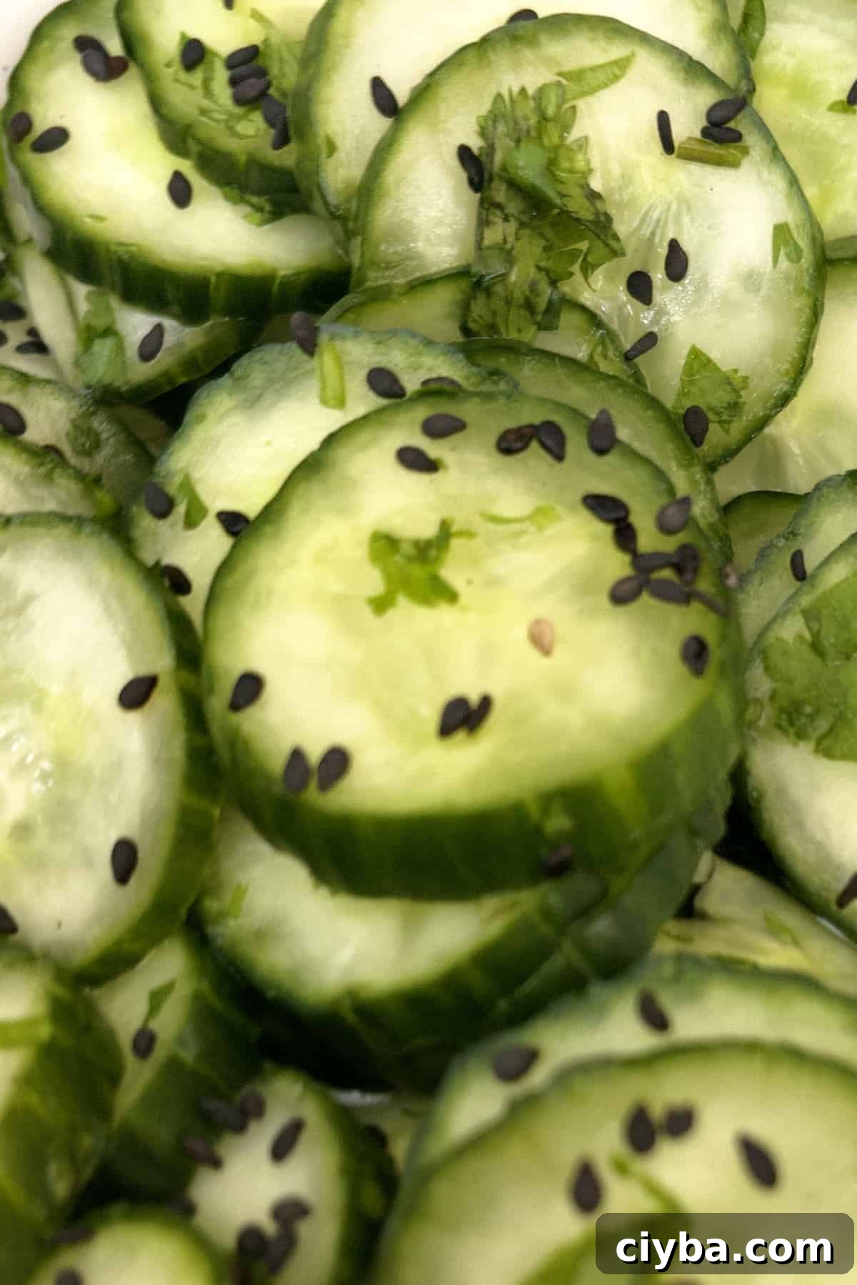 asian cucumber salad finished in a bowl with cilantro and sesame seeds.
