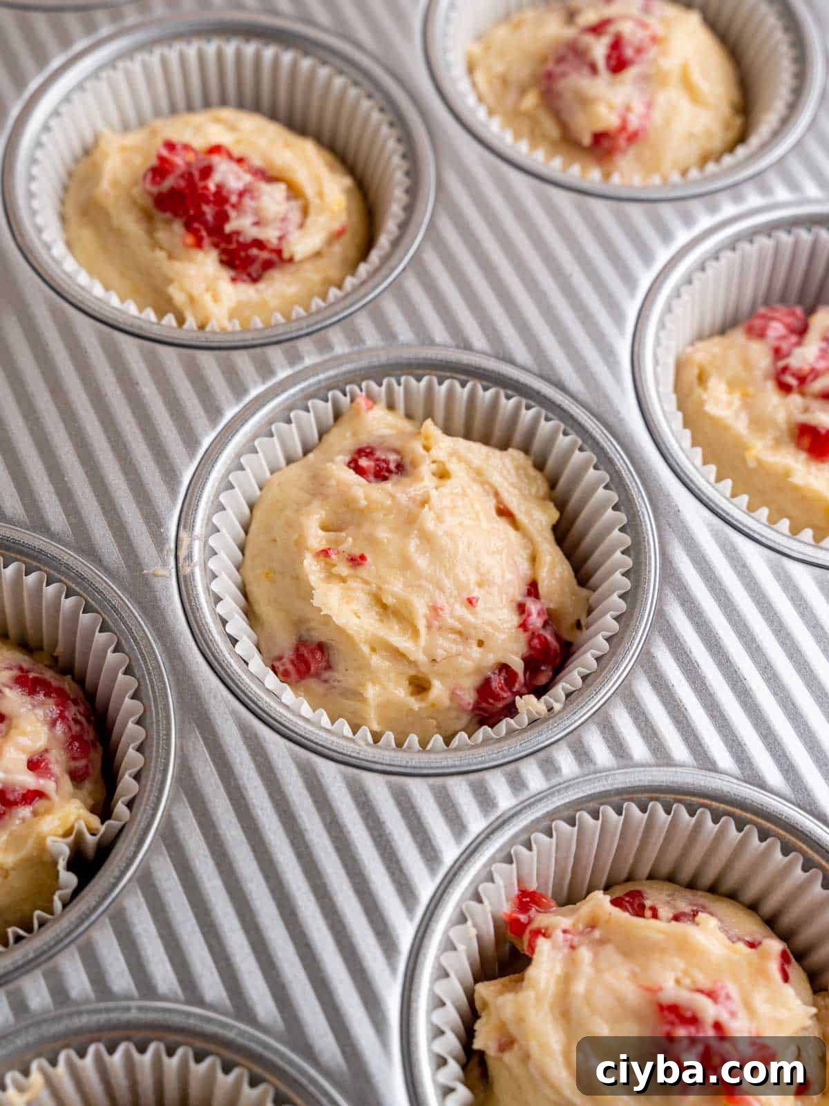 Lemon Raspberry Muffins with Zesty Lemon Glaze 9 Muffin liners filled with lemon raspberry muffin batter.