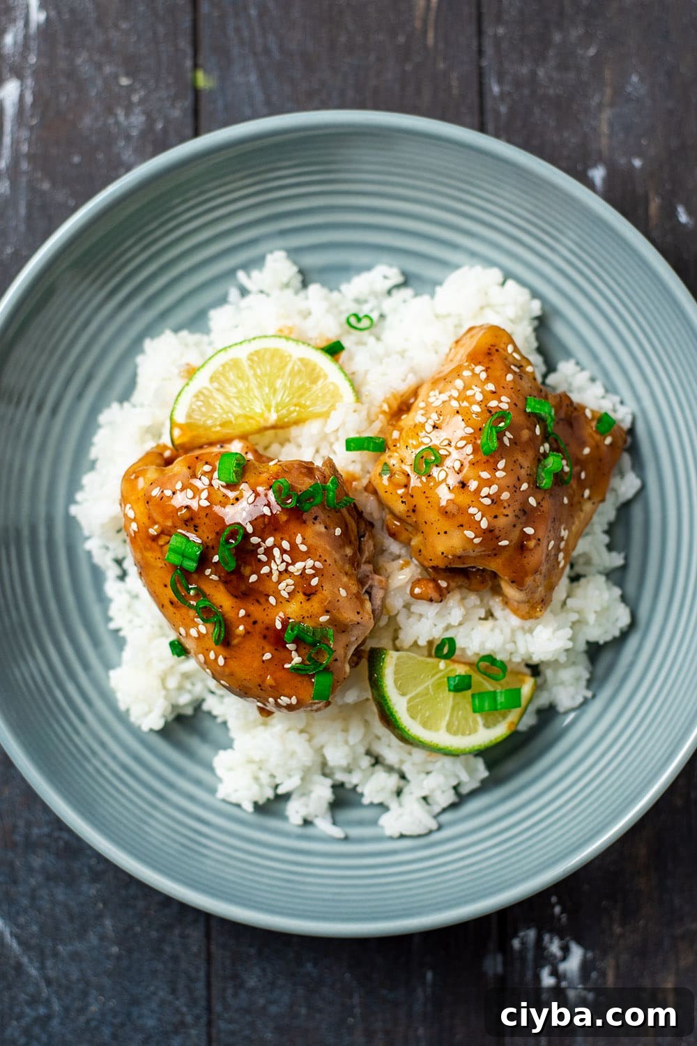 Glazed chicken thighs plated with jasmine rice and topped with chopped green onion and sesame seeds.