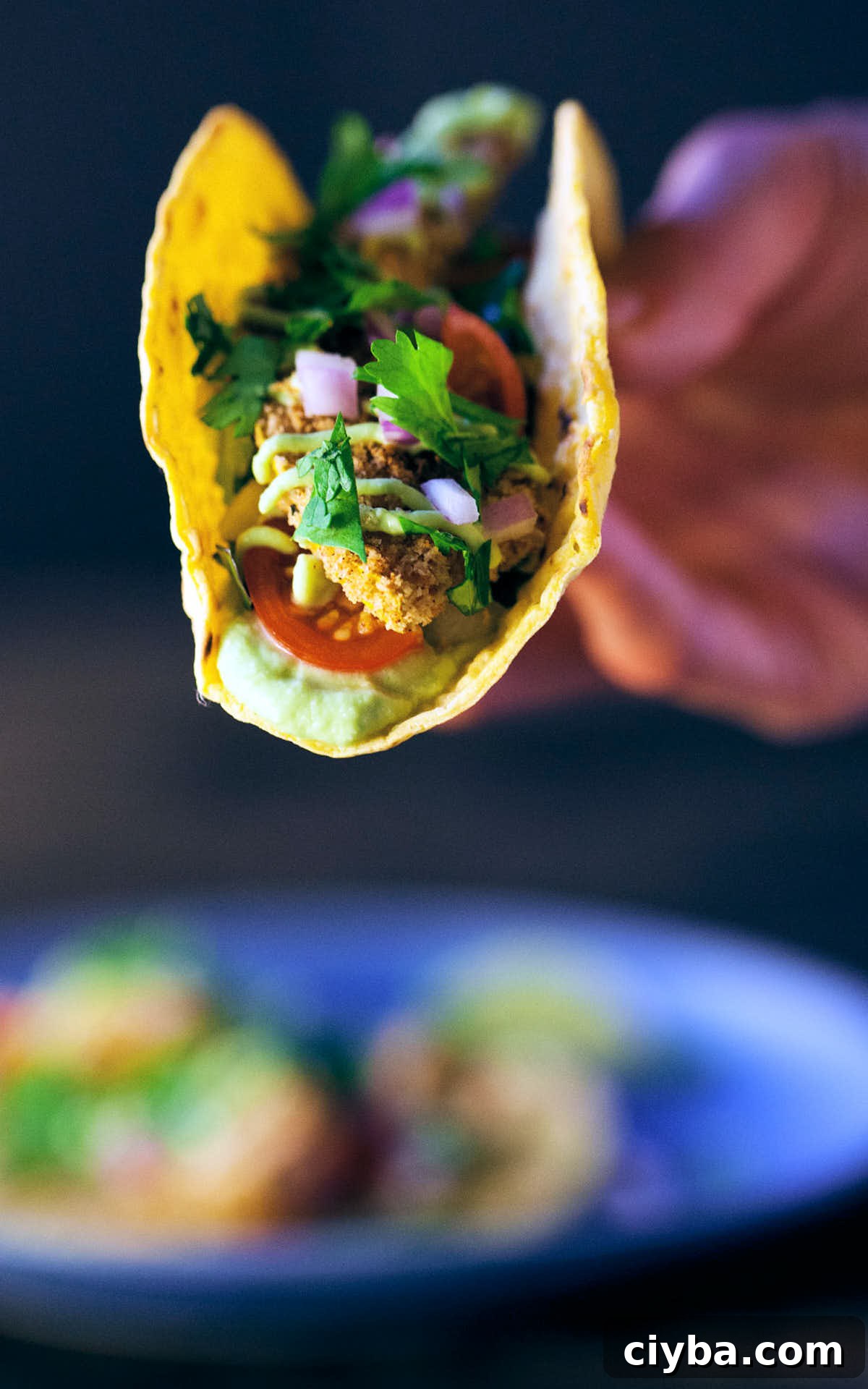 Holding squash taco over a blue plate