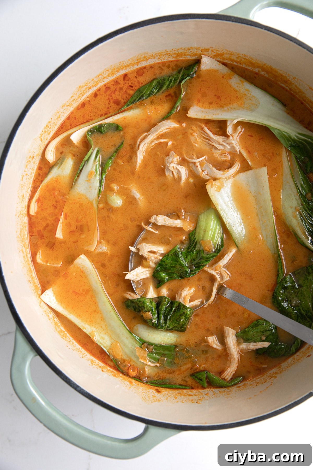 Thai Chicken Curry Noodle Soup: Authentic Recipe & Tips 4 Large pot filled with Thai chicken curry soup with chicken and baby bok choy.