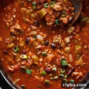 Top view of Slow Cooker Chili