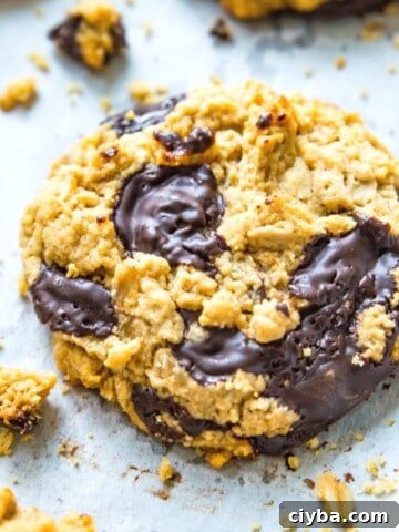 A vegan protein chocolate chip cookie on a baking sheet with cookie crumbs around it.