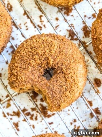 a batch of vegan cinnamon sugar donuts on a baking rack.