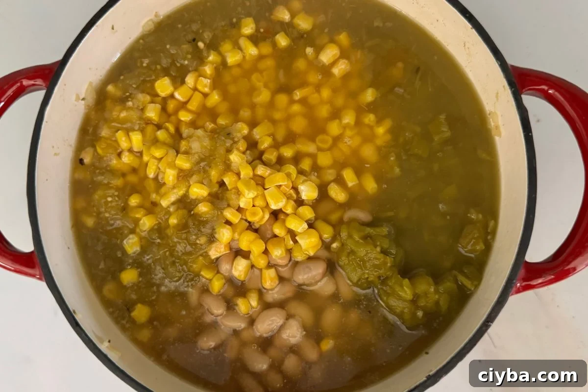 White bean chicken chili in Dutch oven