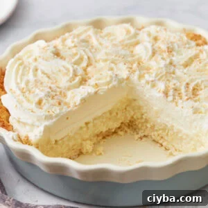 Side view of coconut cream pie with a large slice missing, showing layers of crust, custard, and whipped cream.