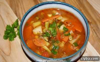 garden vegetable hamburger soup