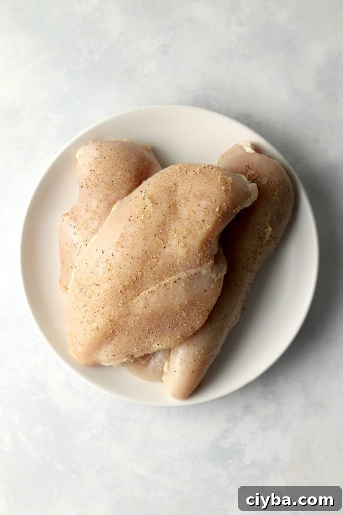 seasoned chicken breasts on a plate