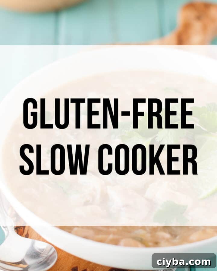gluten-free crock pot recipes