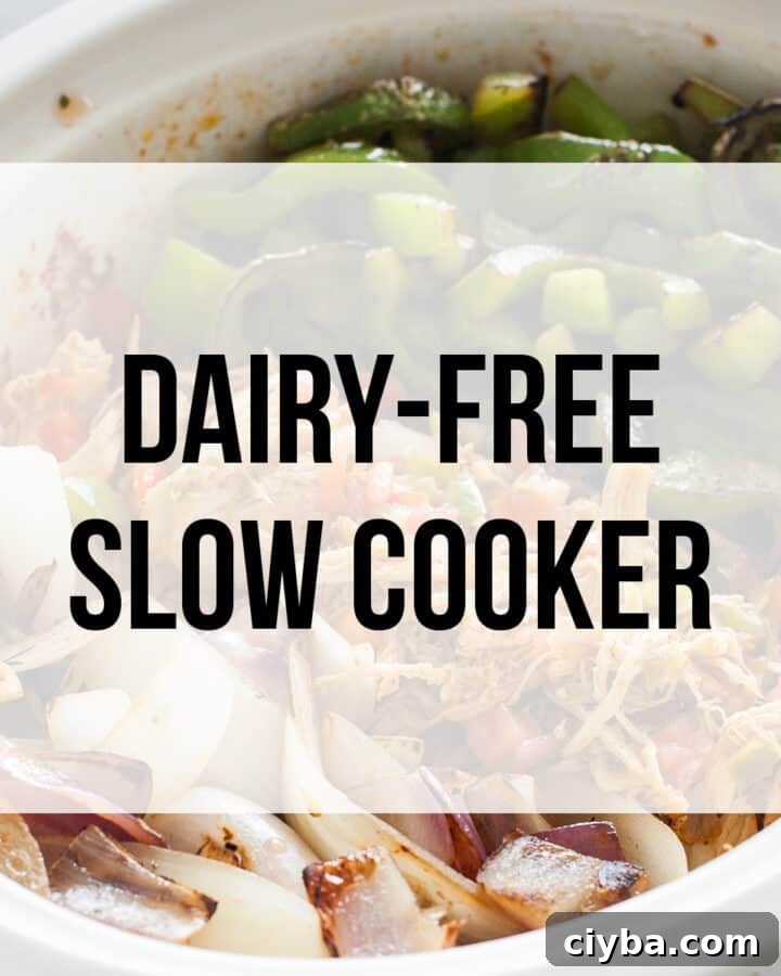 dairy free crockpot recipes