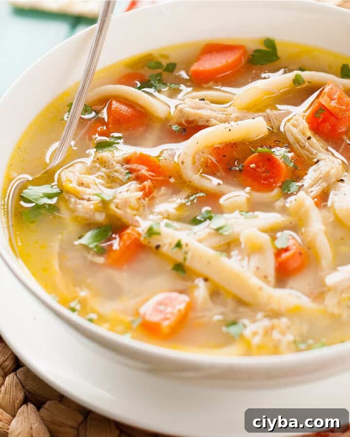 gluten free chicken noodle soup
