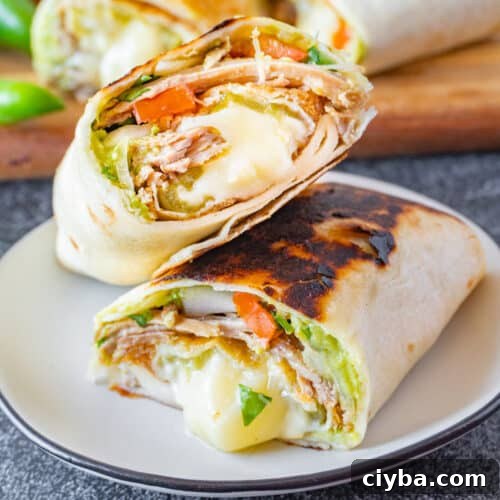chile relleno burrito featured image