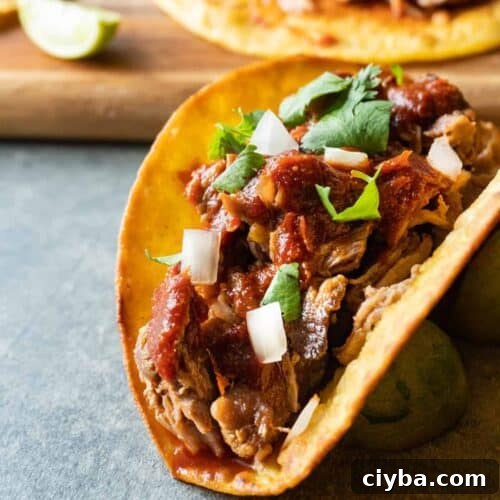 featured image for carnitas tacos