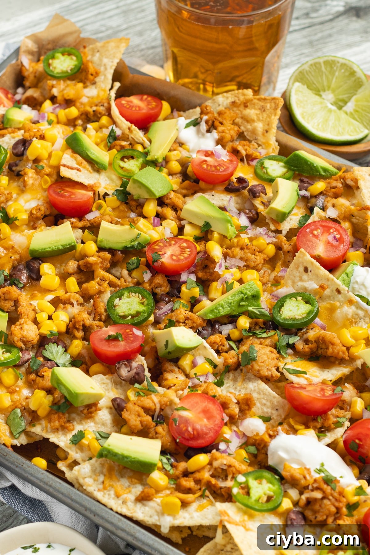 Chicken Nachos Recipe with Fresh Salsa and Avocado 8 This is a picture of a platter of nachos.