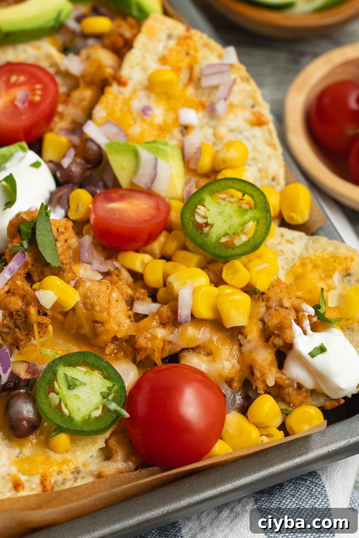 Chicken Nachos Recipe with Fresh Salsa and Avocado 3 This is a close-up picture of the plate of nachos.