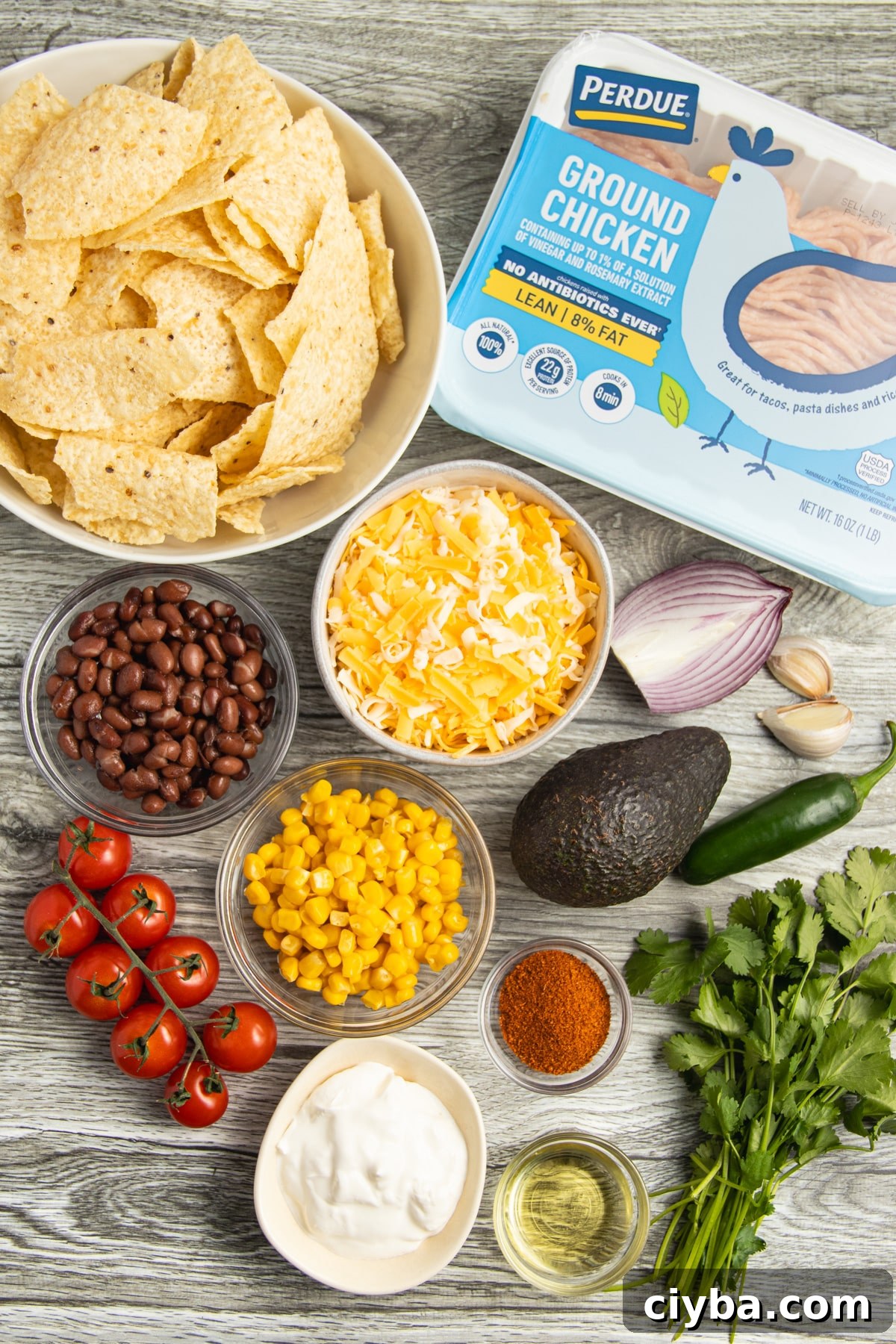 Chicken Nachos Recipe with Fresh Salsa and Avocado 4 This is a picture of all the ingredients used to make healthy nachos.
