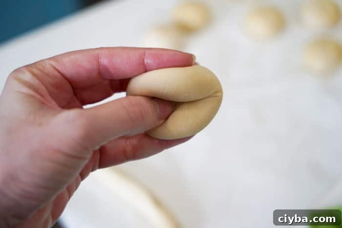 rhodes rolls recipe