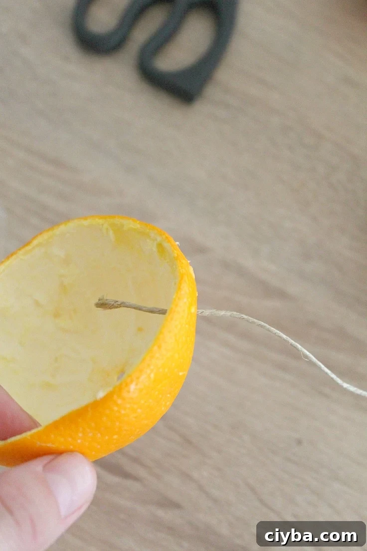 DIY bird feeders