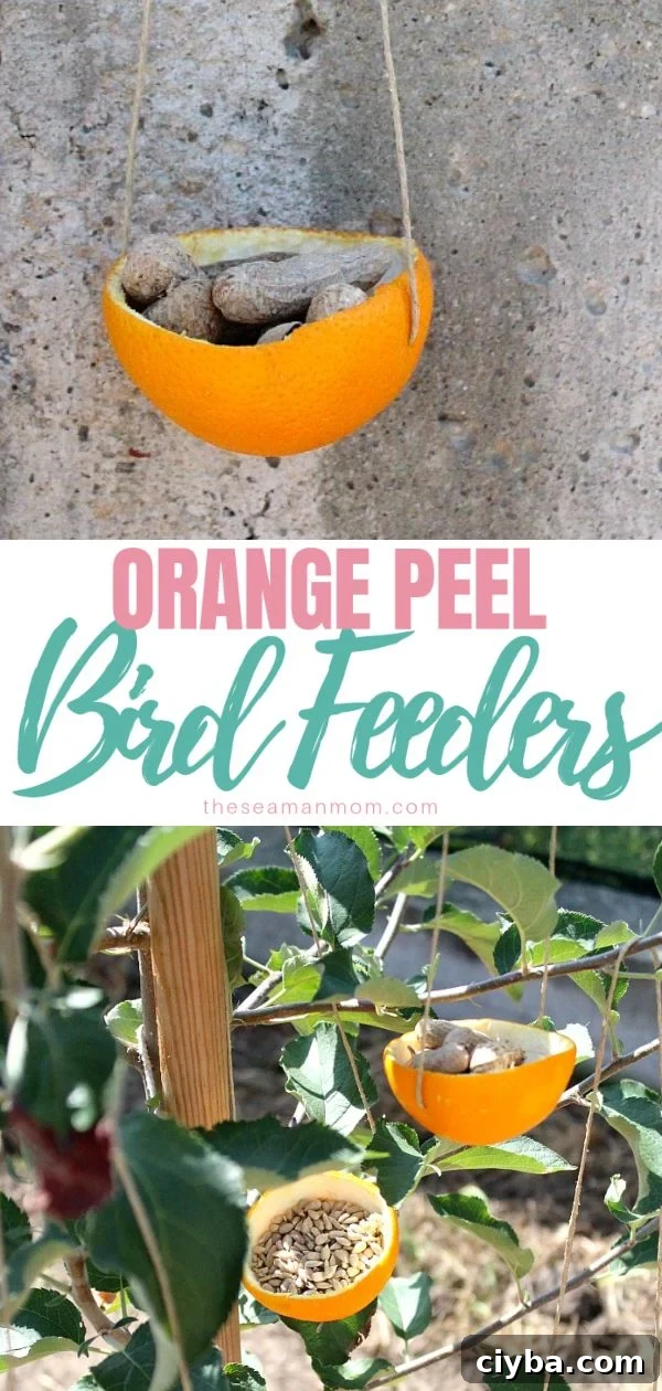 Orange bird feeder