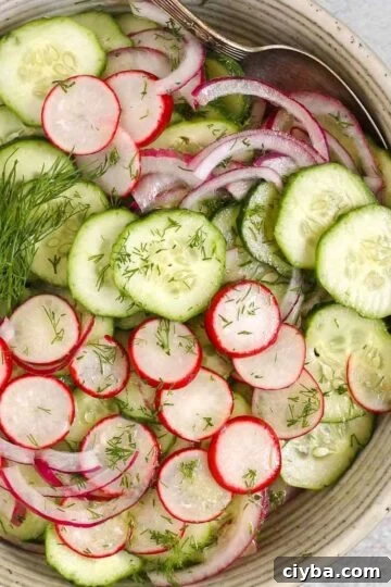 Cucumber radish salad in a serving bowl with red onion and sprigs of fresh dill.