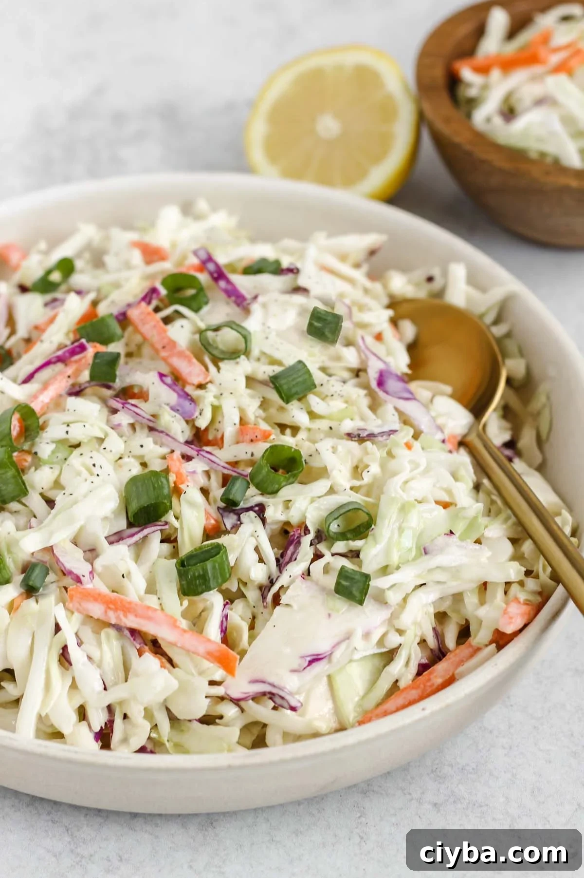 Creamy Whole30 and Paleo Coleslaw Recipe for BBQs and Meals 7 Creamy coleslaw topped with green onions in a serving bowl.