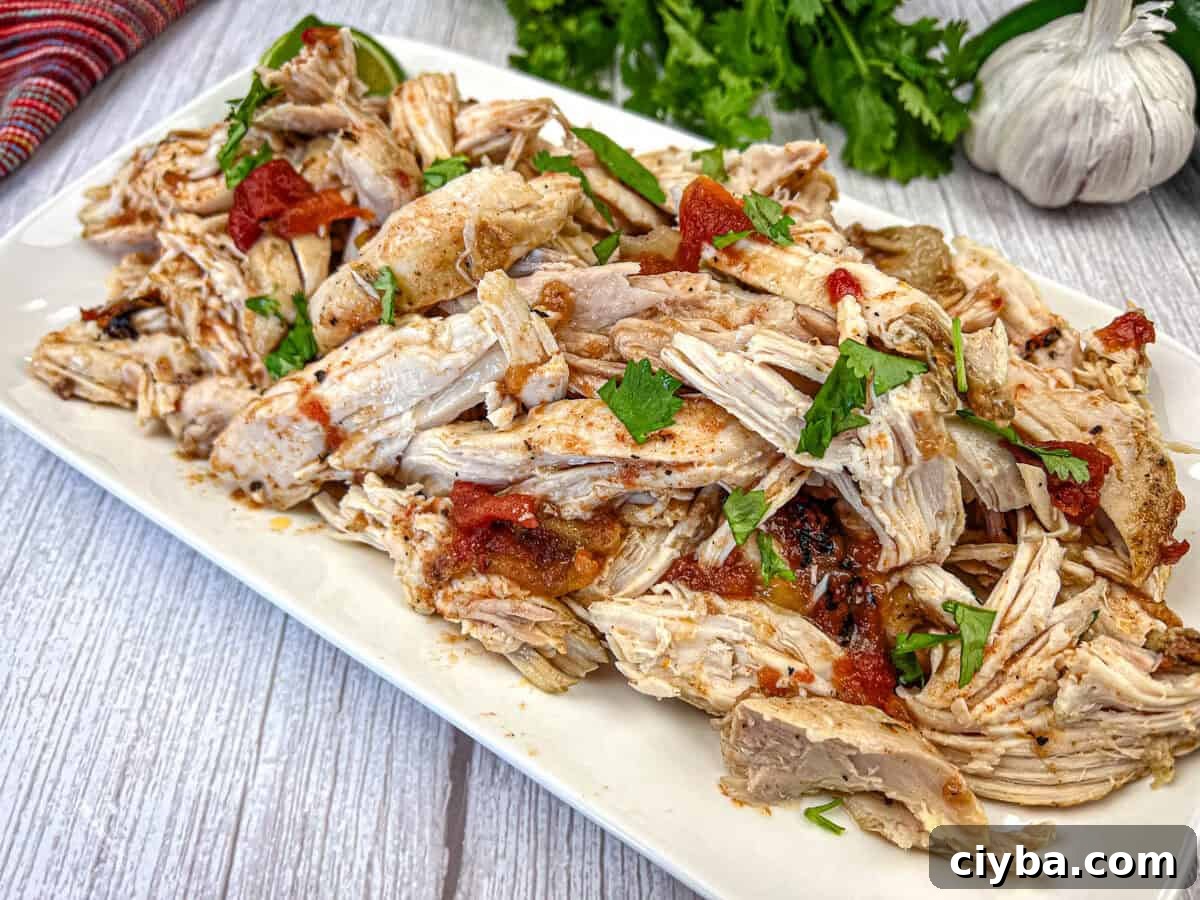 Mexican Slow Roasted Chicken served on a white rectangular plate.