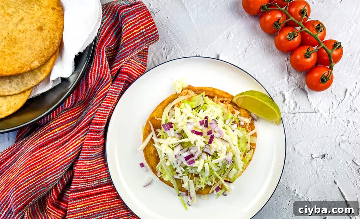 Chicken Tinga Tostada on a plate.