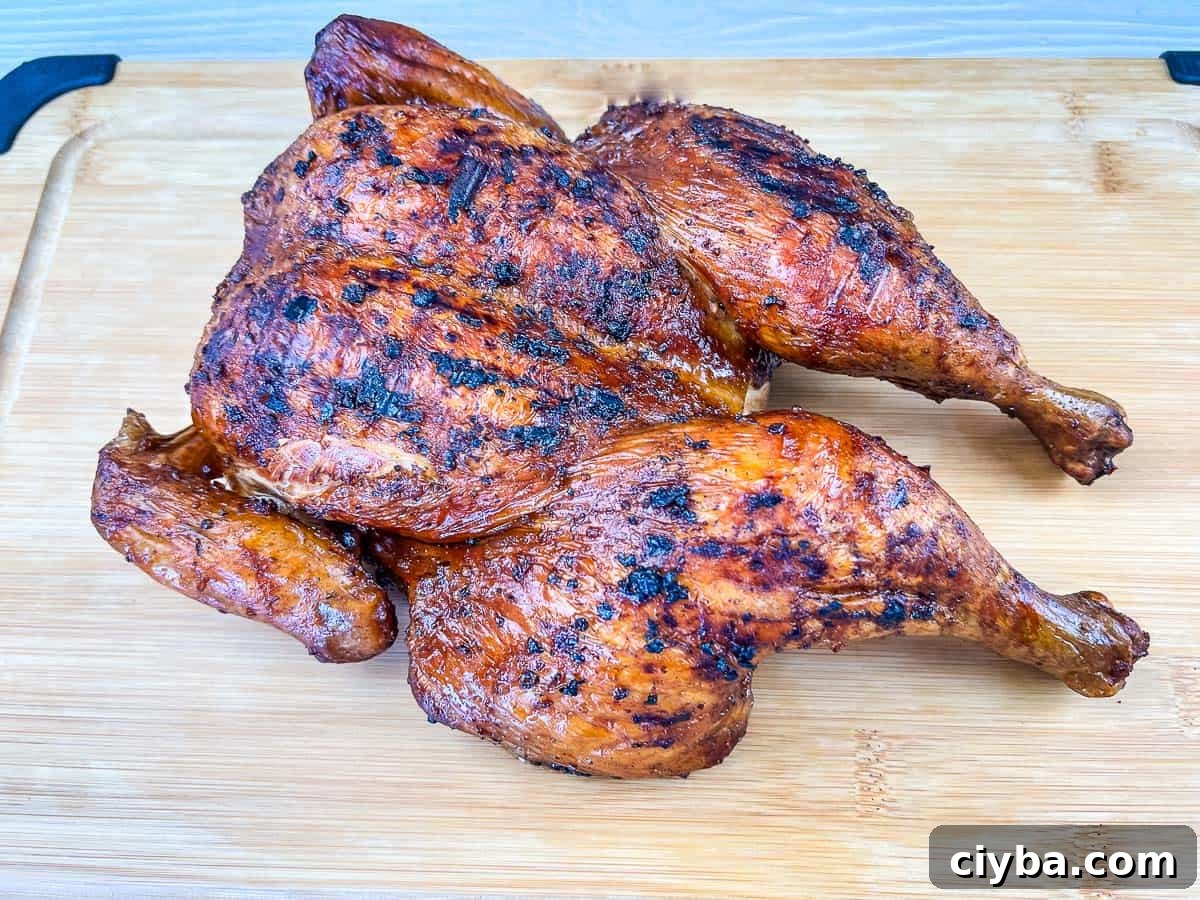 Smoked whole chicken on Ninja Woodfire Grill.