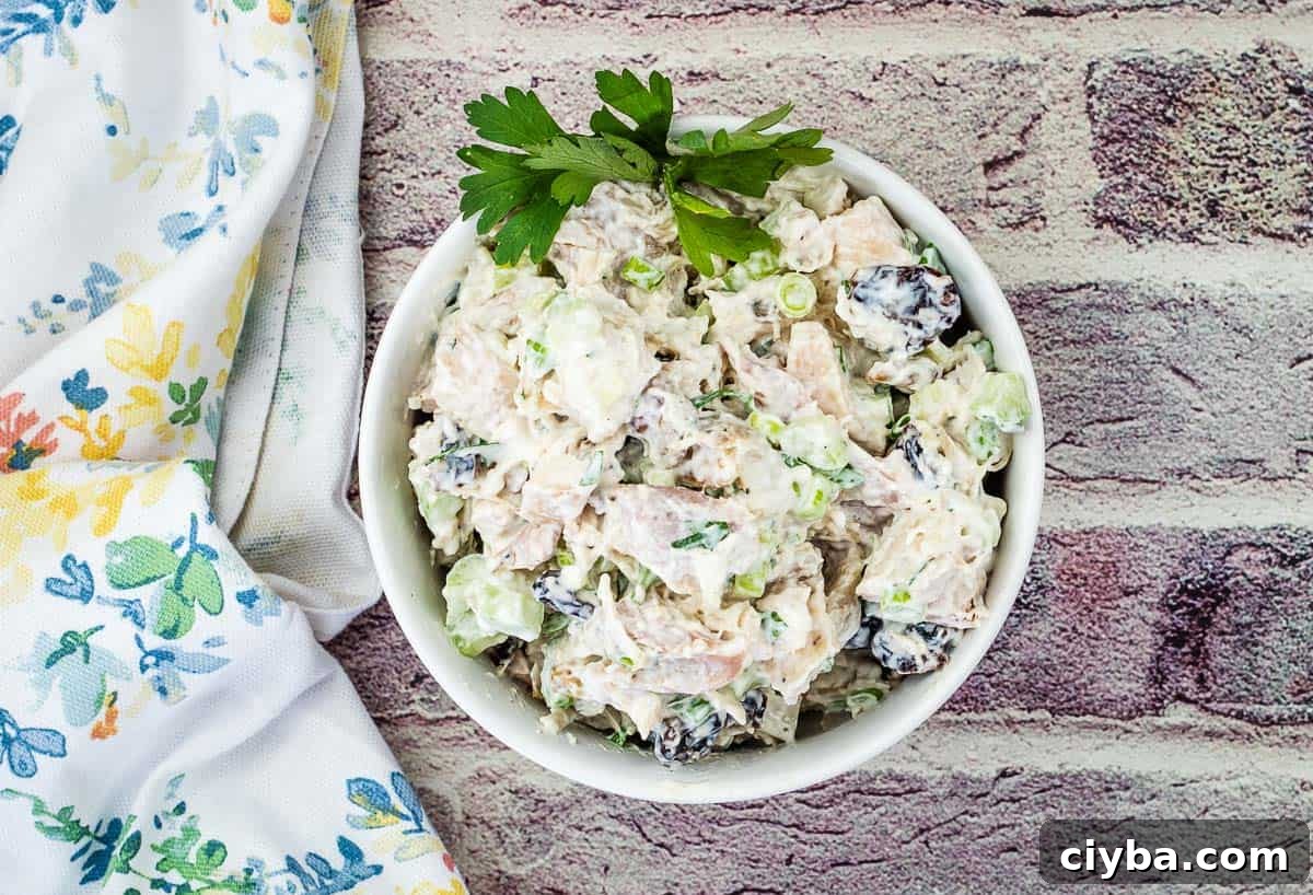 Chicken Salad with Walnuts and Cranberries in a bowl.