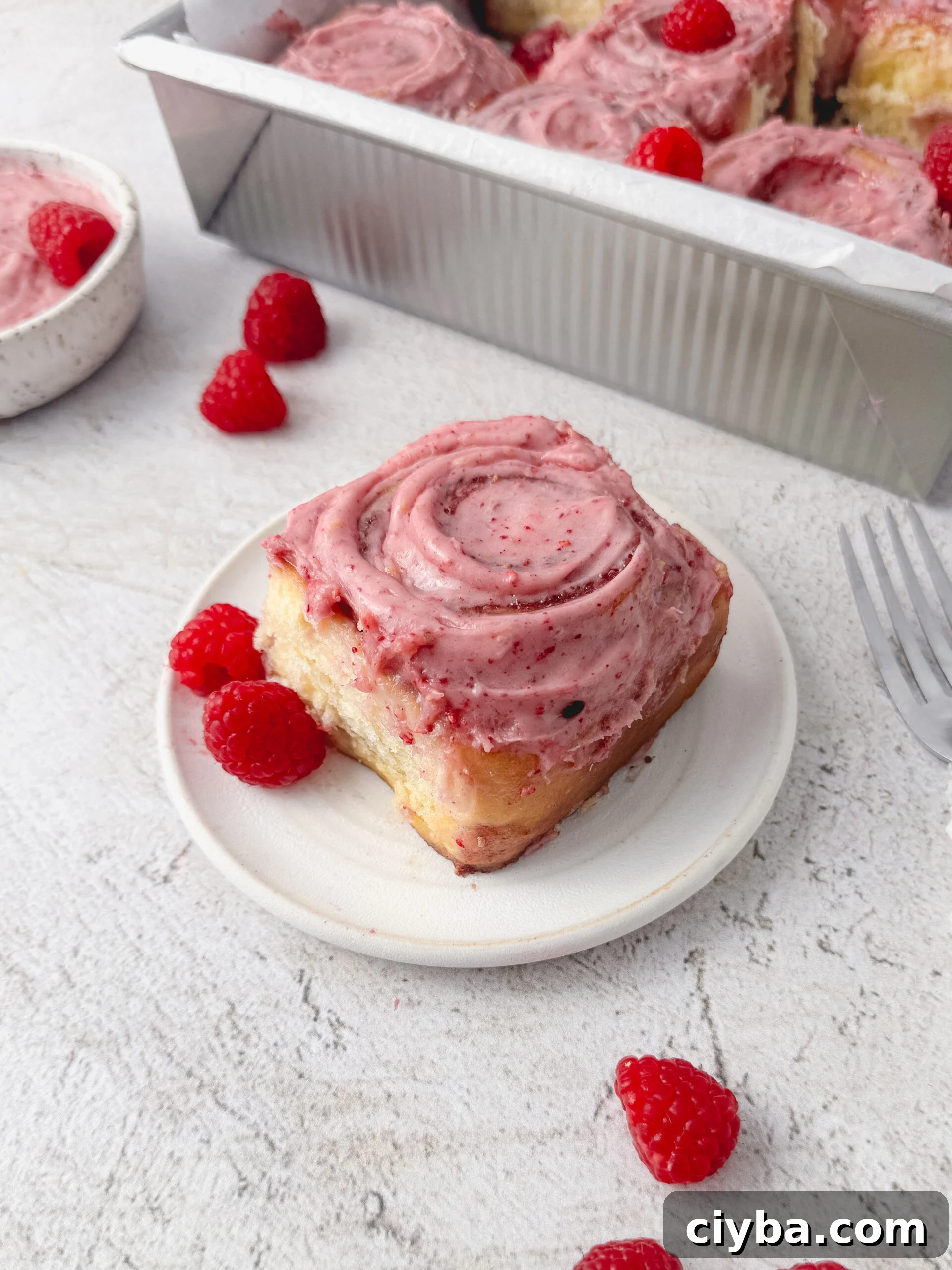 Freeze-dried raspberries