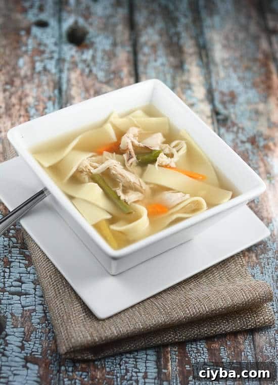 Homemade chicken noodle soup