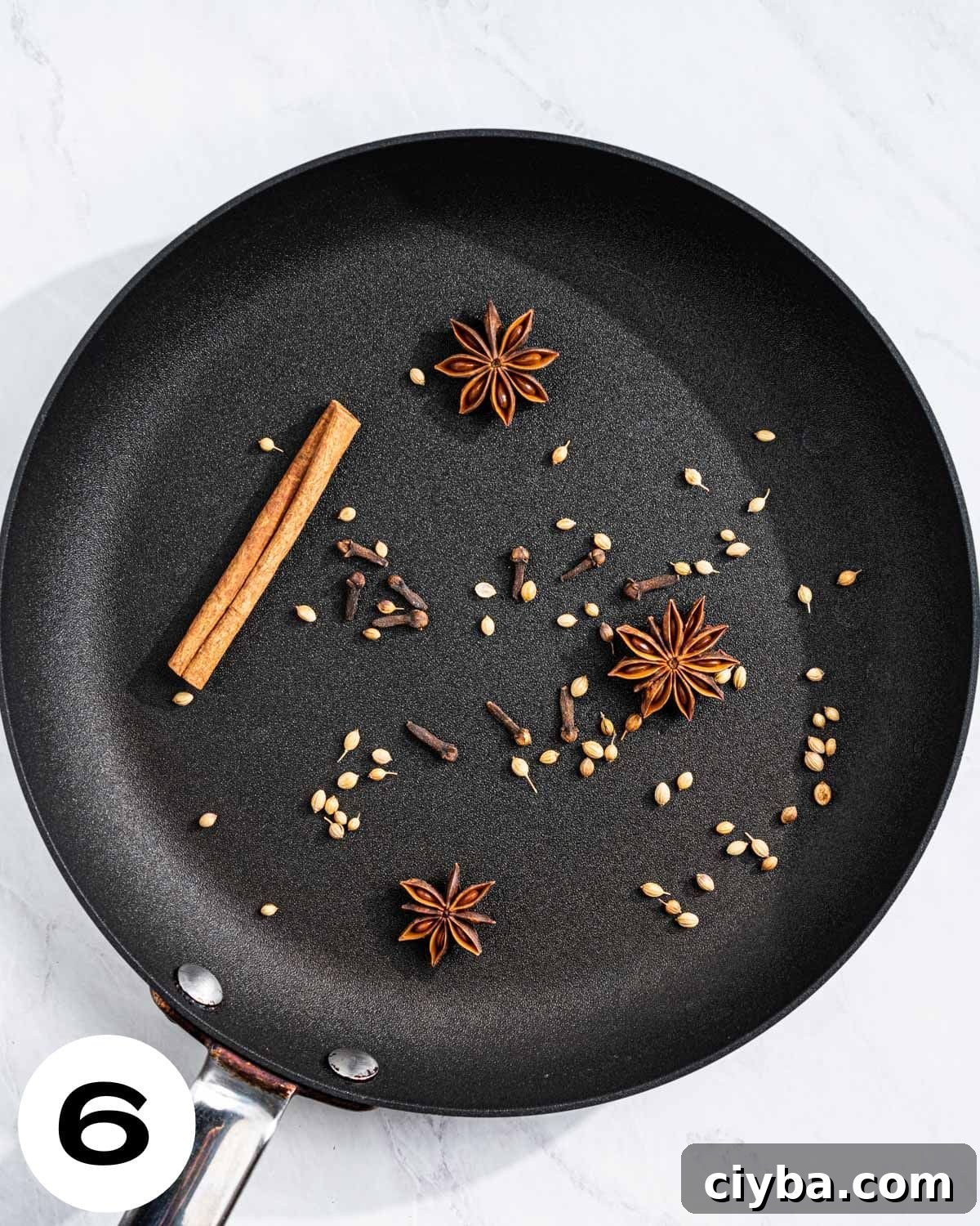 Pan toasting star anise, cinnamon stick, cloves, and coriander.