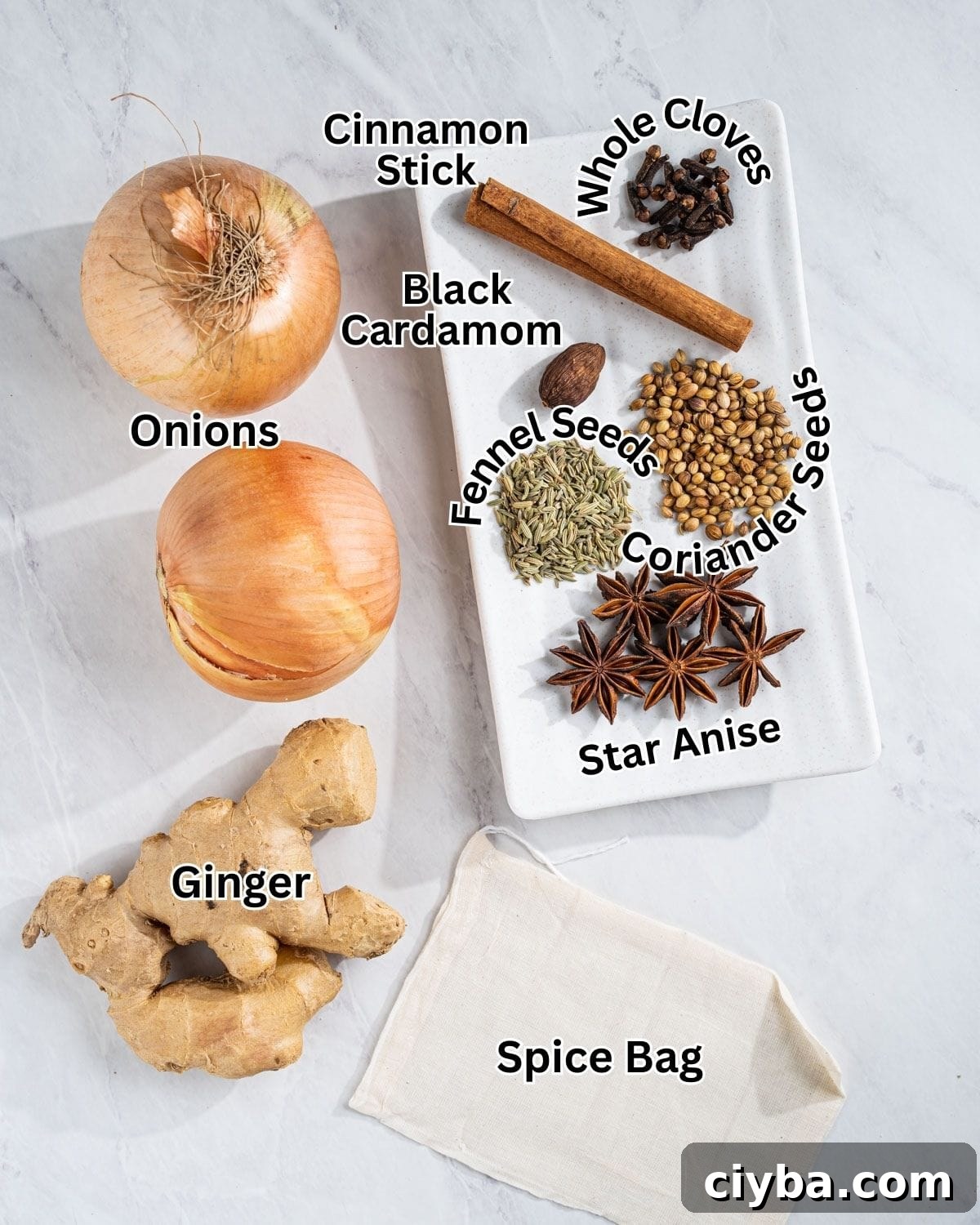 pho spices and aromatics labeled: star anise, fennel seeds, coriander seeds, black cardamom, cinnamon stick, whole cloves, onions, and ginger. Empty spice bag on the bottom.