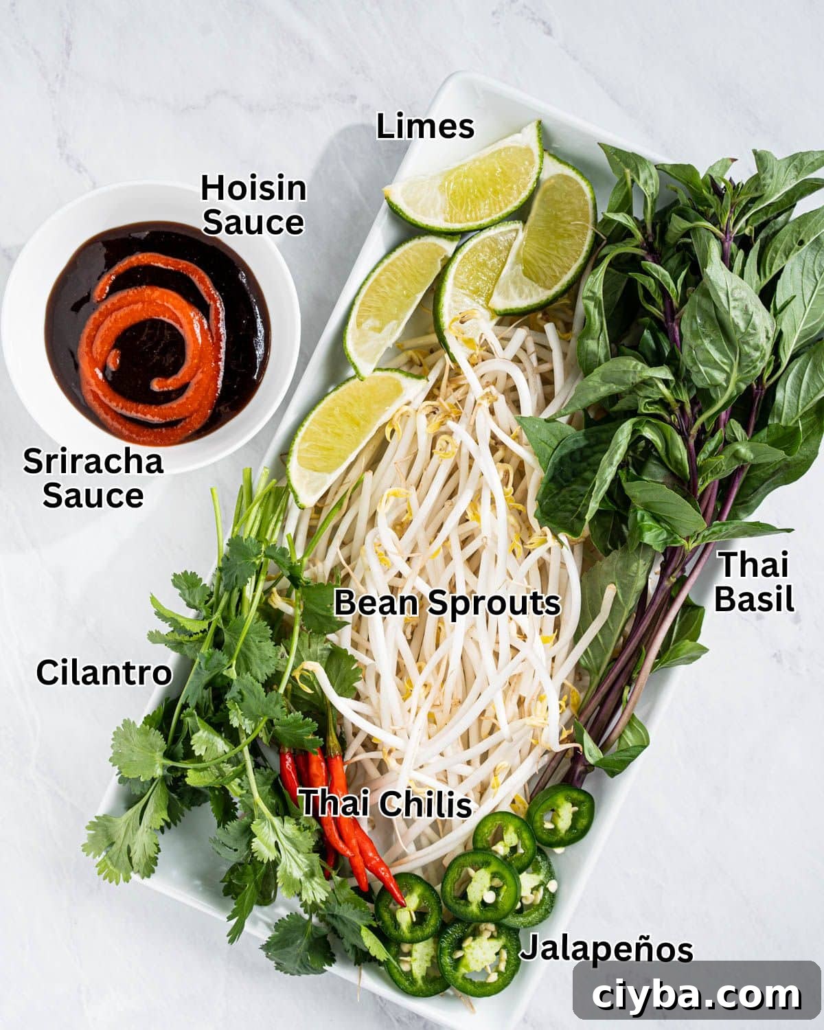 Toppings for pho tai on a serving dish: Thai basil, cilantro, bean sprouts, jalapeños, Thai chili peppers, lime wedges, hoisin sauce, and sriracha.