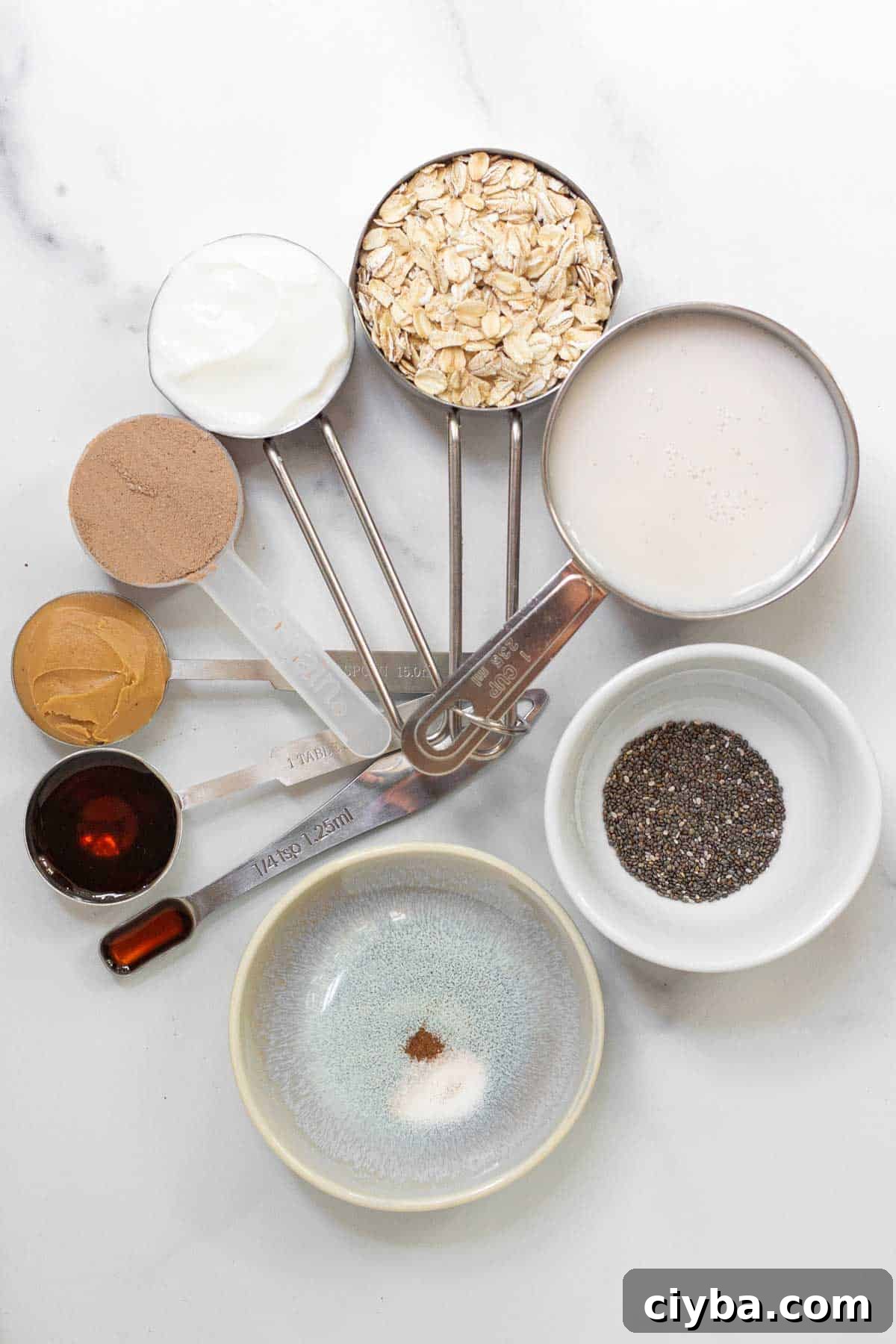 Protein Powder Overnight Oats ingredients: oatmeal, chocolate protein powder, almond milk, Greek yogurt, creamy peanut butter, maple syrup, chia seeds, vanilla extract, salt, and cinnamon.