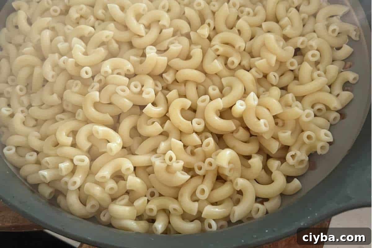 Boiled and cooked pasta noodles for salad. 