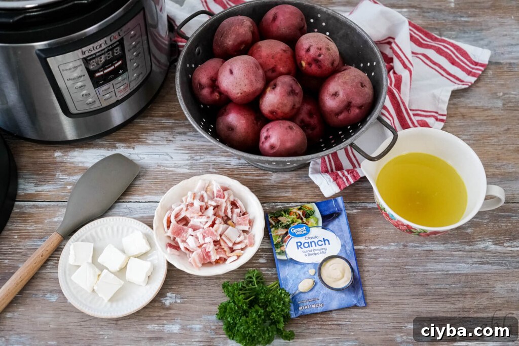 The ingredients needed to make instant pot ranch potatoes siting next to the instant pot. 