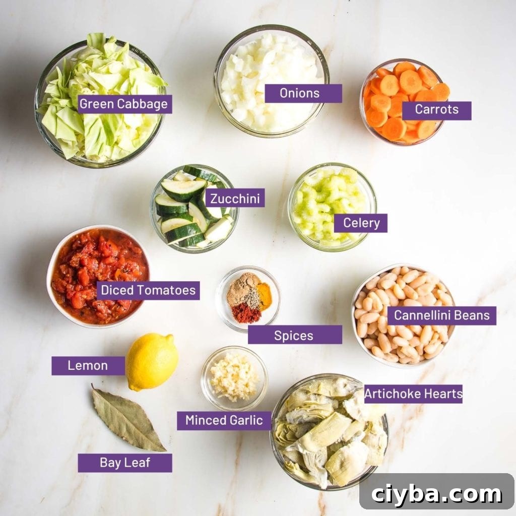 Homemade Garden Vegetable Soup Recipe for Comforting Meals 3 img 9542 2