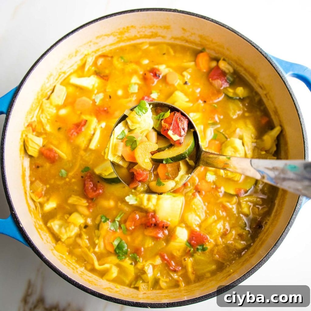 Homemade Garden Vegetable Soup Recipe for Comforting Meals 5 img 9542 4