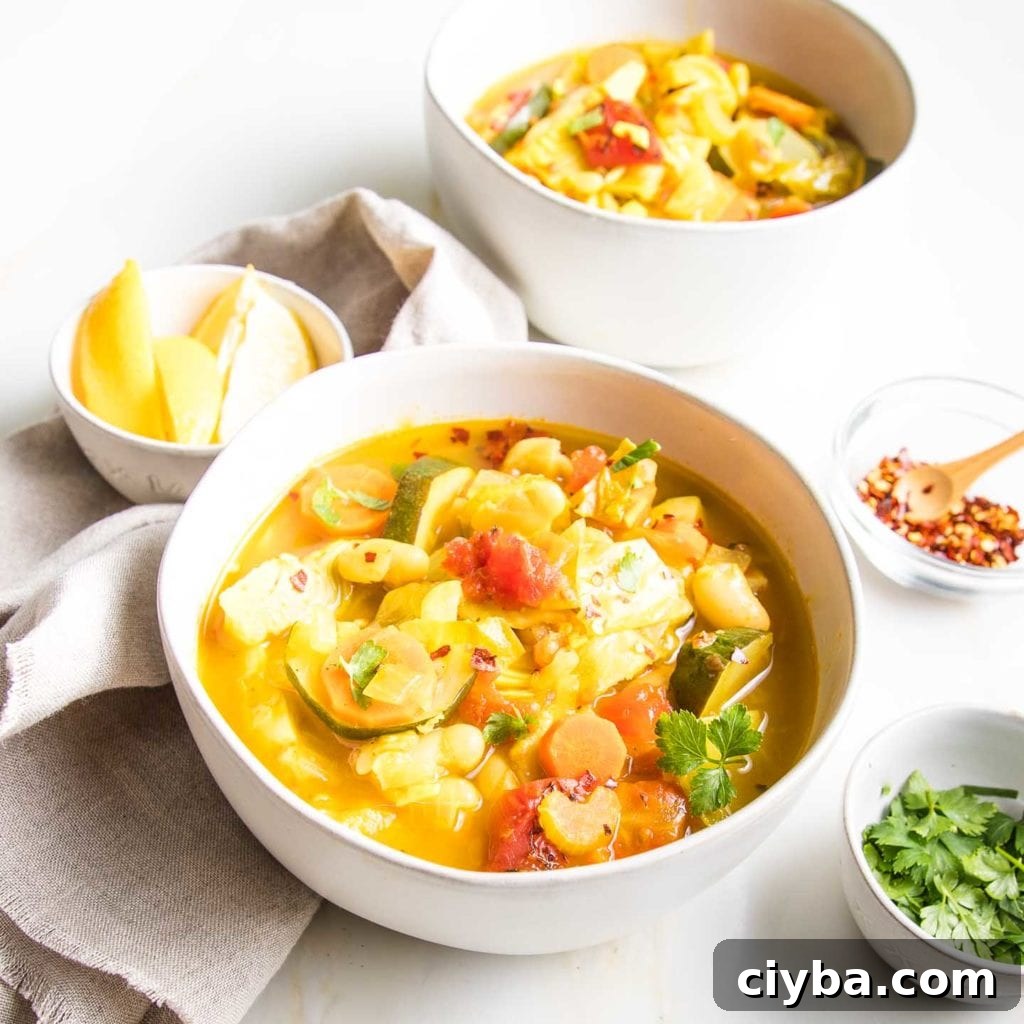 Homemade Garden Vegetable Soup Recipe for Comforting Meals 6 img 9542 5