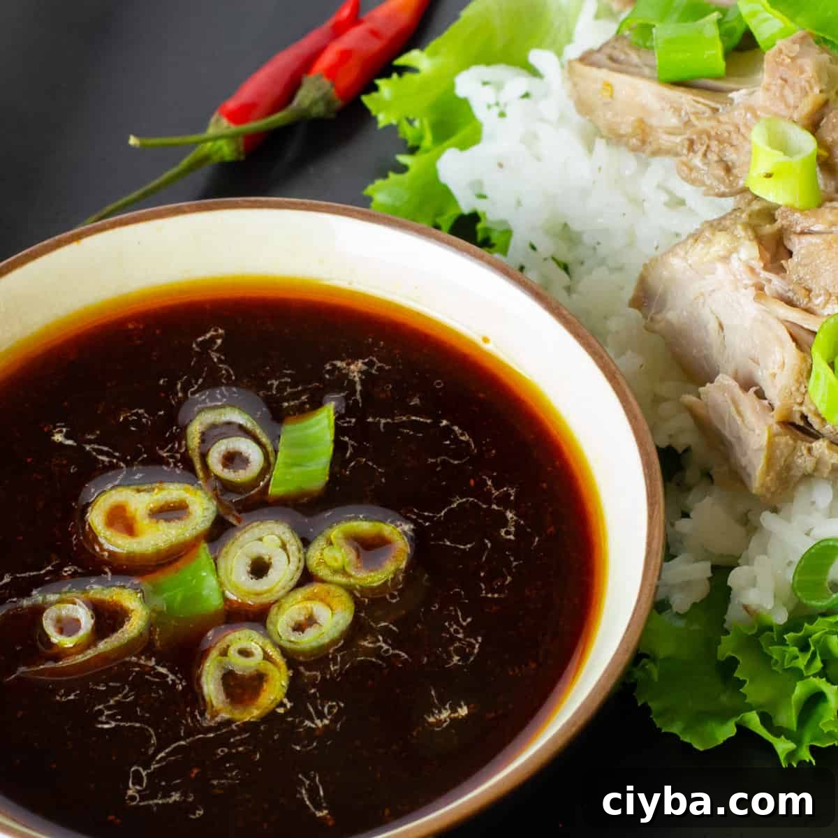 Close up picture of an Asian style dip.