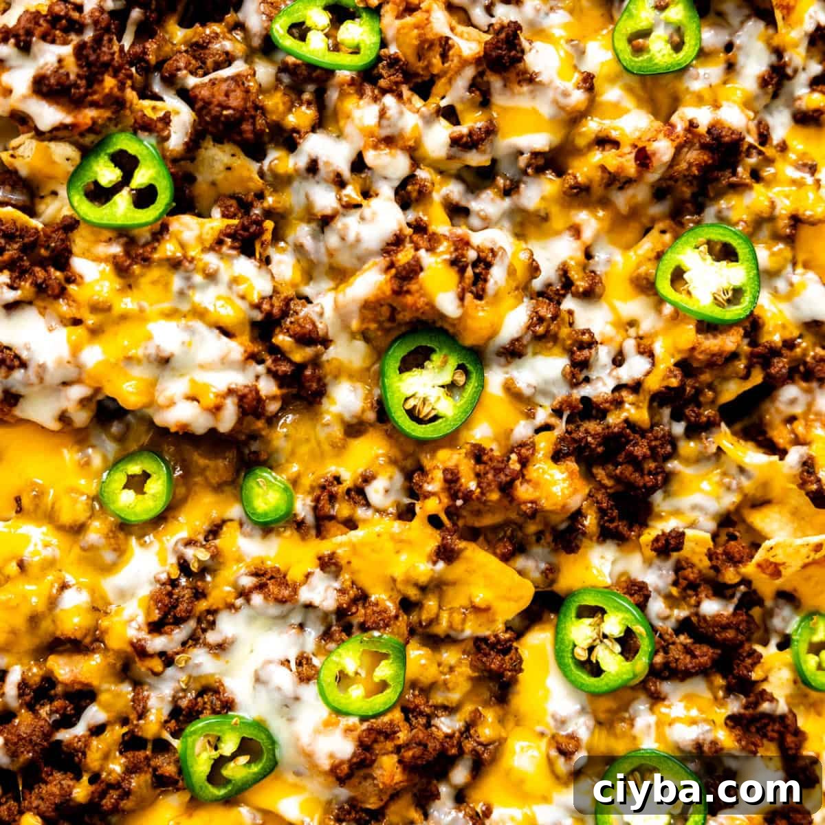 Baked nachos with melted cheese. 