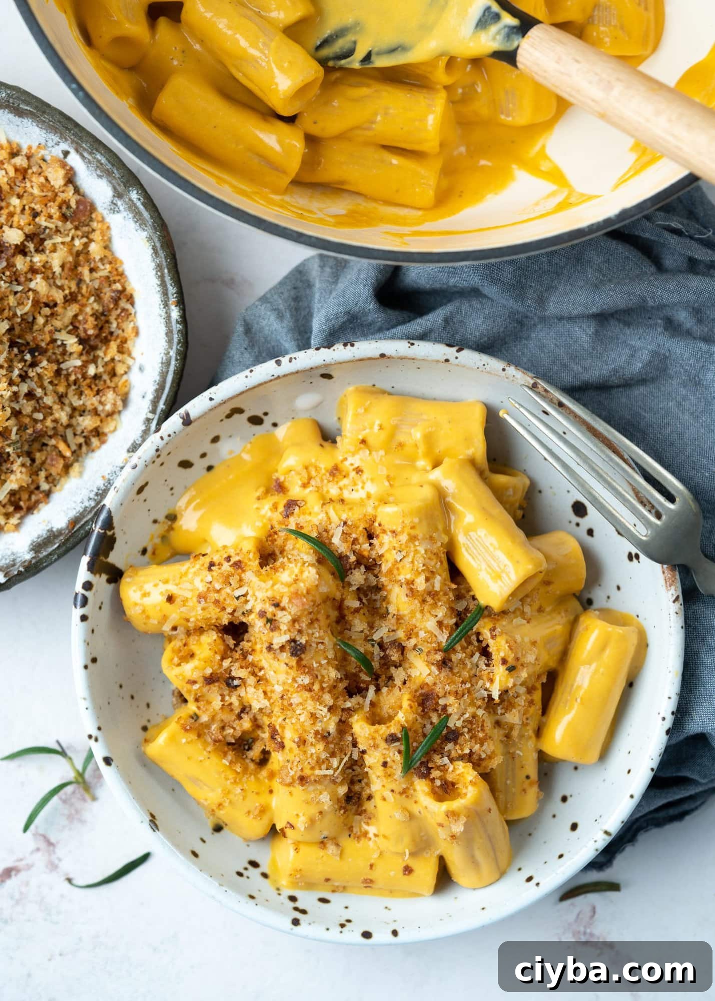 Bowl of Rigatoni pasta in a roasted butternut squash sauce, topped with breadcrumbs. 