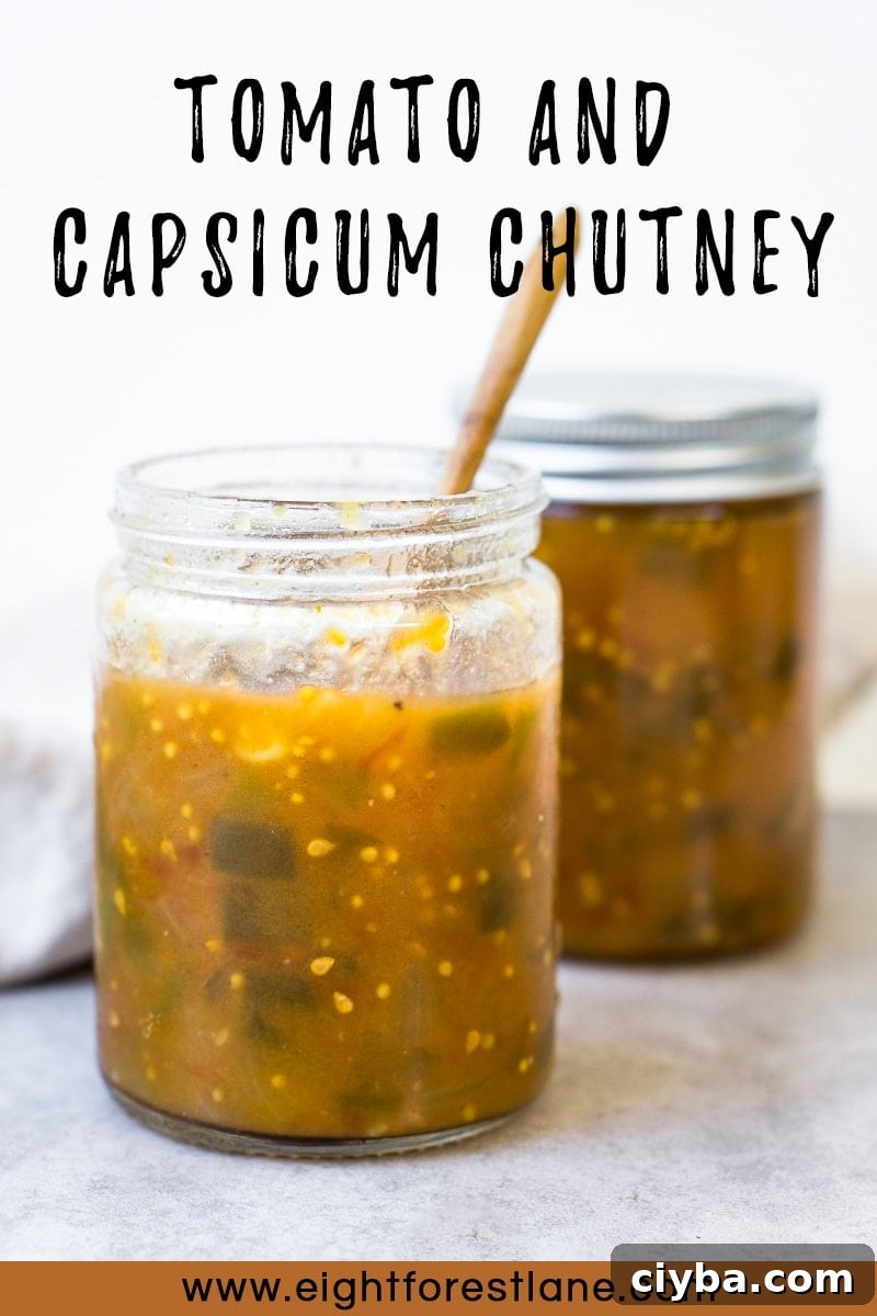 Tomato and Capsicum Chutney - Pinterest