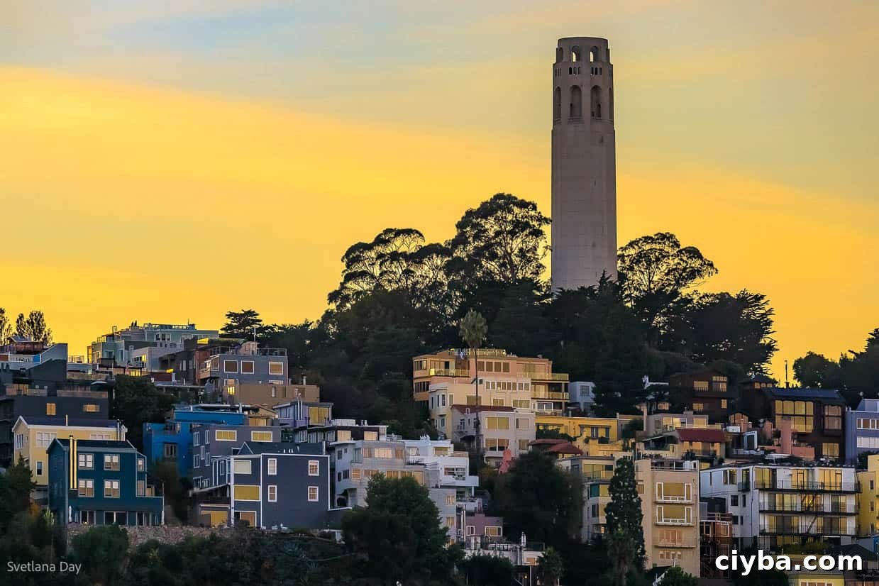 Looking up at Coit Tower from the bottom of Telegraph Hill.