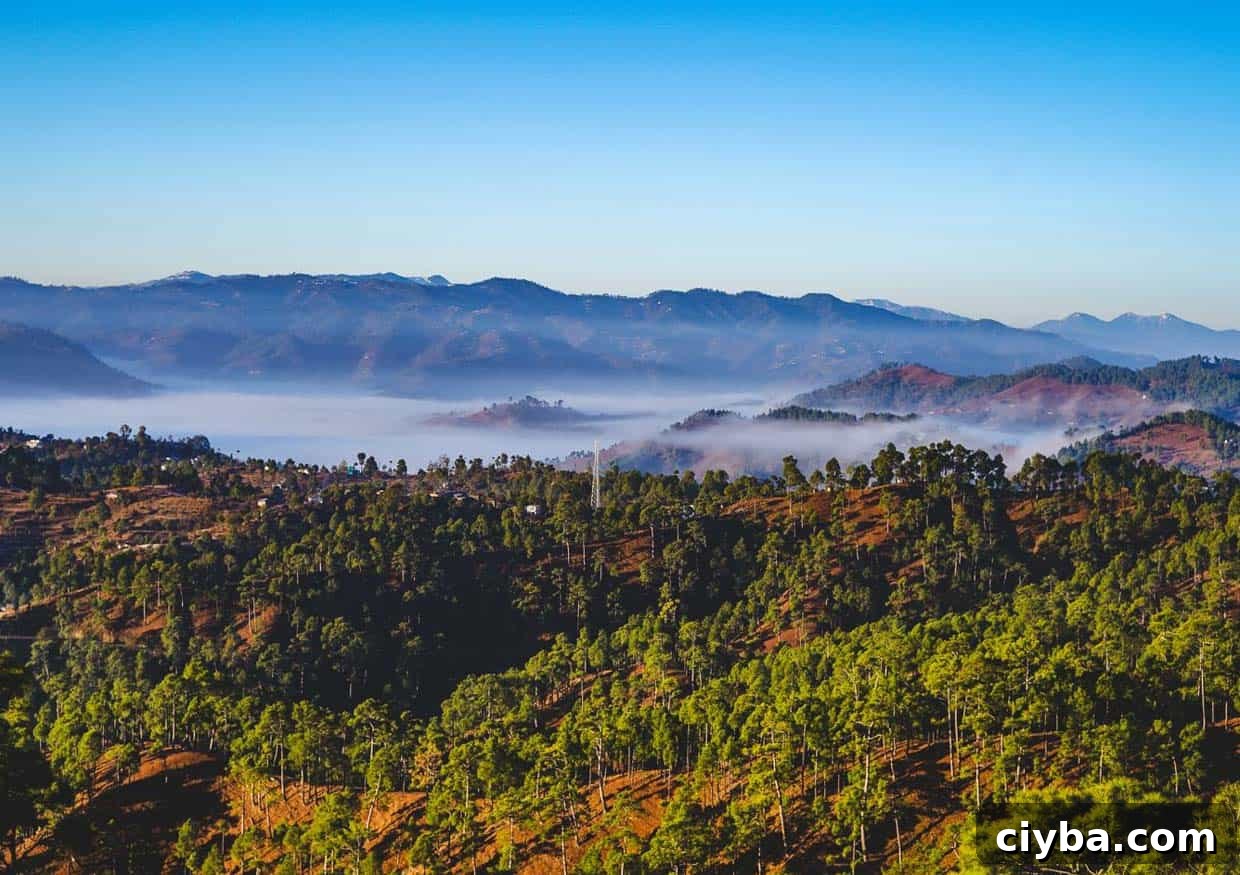 A beautiful and soothing landscape of mountains covered in clouds and green trees during winters.