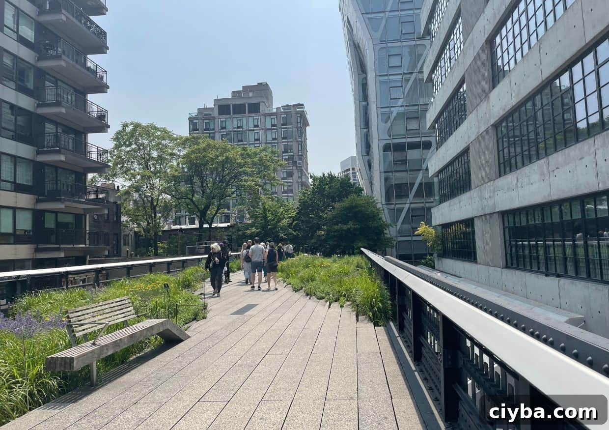 View of High Line New York park.